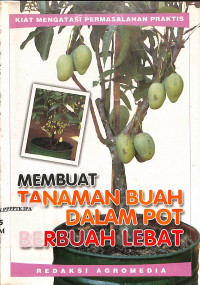 Image of MEMBUAT TANAMAN BUAH DALAM POT  BERBUAH LEBAT