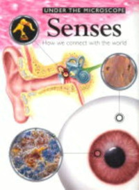 Image of Under The Microscope Senses